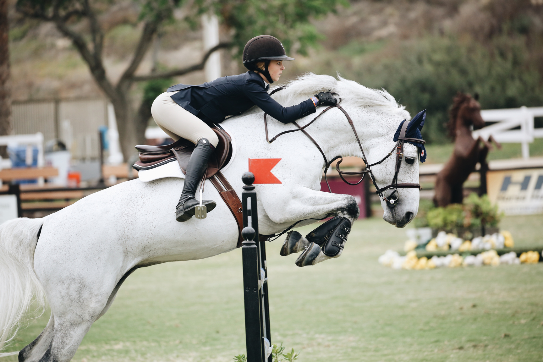 Woman Wearing Black Long-sleeved Blazer on White Horse